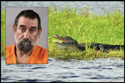 Florida Man Bitten by Alligator 'Continued His Rampage' Before Fatal Police Shooting