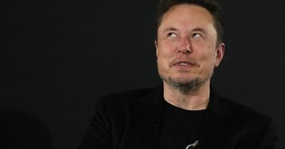Elon Musk's Tesla’s monthly sales in Europe plunge by half