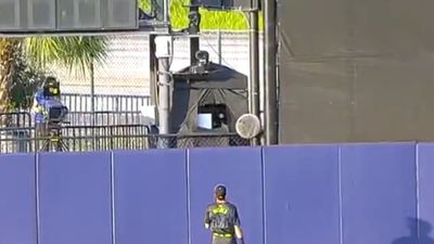 Twins Player's Home Run Ended Up in One of the Most Improbable Landing Spots