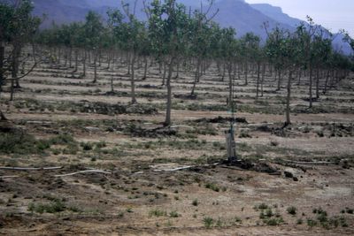 Arizona's rural groundwater deal stalls as legislative session nears end