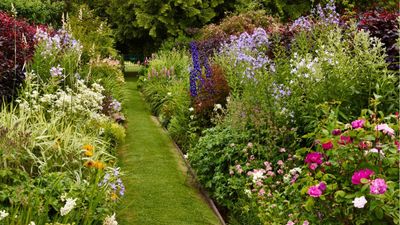 Can you plant wildflowers and perennials together? This Chelsea Flower Show grower says yes – and it's easier to maintain than you might think