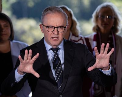 Albanese says ‘we follow our own path’ after UK, France and Canada threaten Israel with sanctions over Gaza