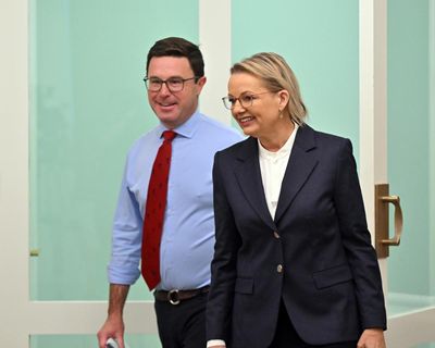 Who’s in and who’s out: key takeaways from Sussan Ley’s newly unveiled Coalition frontbench