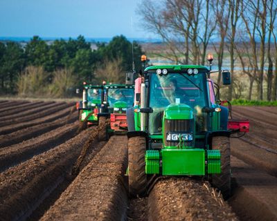 Fund for nature-friendly farming to be slashed in UK spending review
