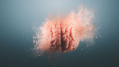 Is 'brain rot' real? Experts weigh on on the impact of excessive screen time on our brains