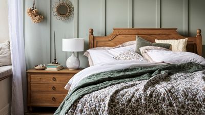 How to get rid of moths – 11 entomologist-approved methods from deterrents to storage