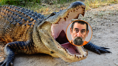 Florida man in deadly meth-fuelled alligator rampage, attacks officers with garden shears