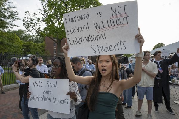US pauses new student visas: What it means and who it will affect