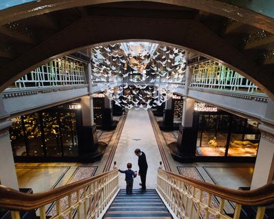 Manchester Museum named European museum of the year