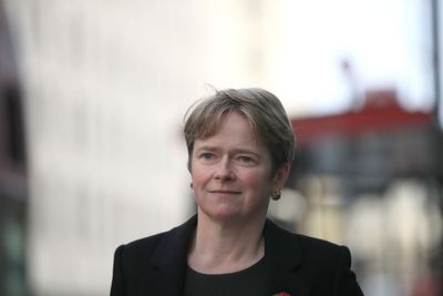 More self-isolation support during Covid would have saved lives – Harding