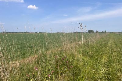 Cutting nature-friendly farming budget would be ‘devastating’, Government warned