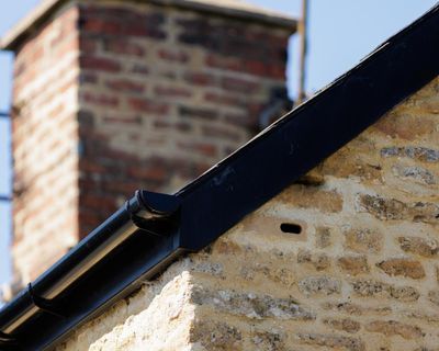 Labour should make a swift U-turn on bricks that provide nesting places