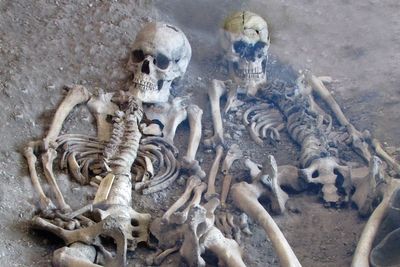 ‘Game of Thrones-style families’ behind 2,000-year-old Dorset massacre