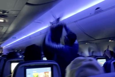 Delta flight delayed because 2 pigeons sneaked aboard a plane in Minneapolis