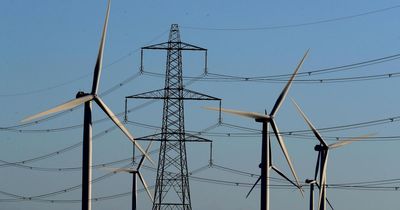 'It makes sense': Battery manufacturer boss backs zonal pricing