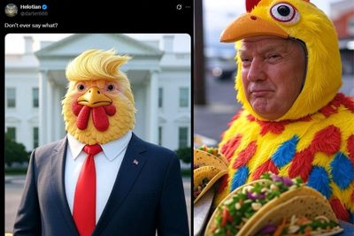 Trump's Meltdown Over 'TACO' Trade Spurs Wave of Chicken Memes