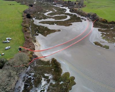 Company directors who cause nature damage in Scotland could face jail