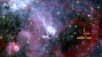 'Unlike anything we have seen before': Astronomers discover mysterious object firing strange signals at Earth every 44 minutes