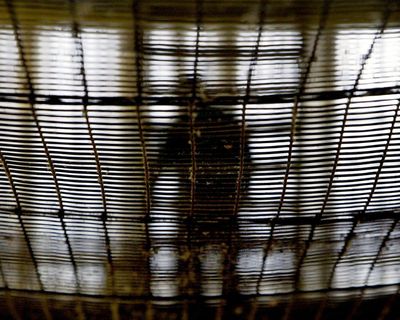 UK’s most senior police officer criticises early prison release scheme