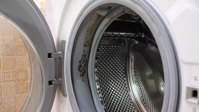 This one item is your secret weapon against washing machine mold — and it's not vinegar or baking soda