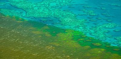 UNESCO expresses ‘utmost concern’ at the state of the Great Barrier Reef