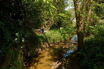 Pesticides, antibiotics, animal medicines: the chemical cocktail seeping into our rivers