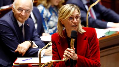France pushing for 'China-EU leadership' on climate to counter US withdrawal