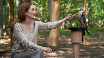 5 best shows like 'Sirens' to stream right now