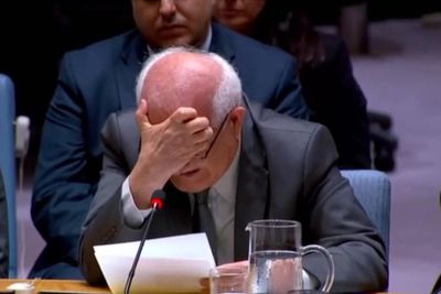 Palestinian UN envoy breaks down in tears over children dying in Gaza