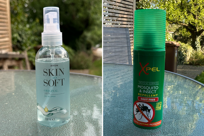 11 best mosquito repellents to keep bites at bay this summer