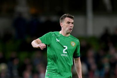 Heimir Hallgrimsson keen for Seamus Coleman to continue international career