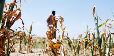 Climate change: no reprieve from heat this decade as globally agreed 1.5°C limit looms