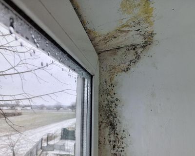 The Guardian view on social housing: invest boldly to tackle ‘simmering anger’ about substandard homes