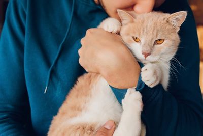 5 Ways Cats Quietly Take Care of Their Humans