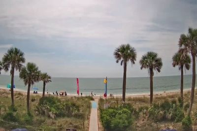 Tourists find 200-year-old human remains at beachfront property