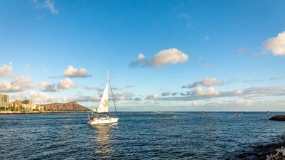 Cat dad who quit his job to sail the Pacific Ocean has arrived in Hawaii: ‘Dear Corporate America, I won’