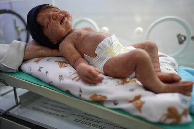 Brazil's life-like doll craze goes viral as online videos spark political reaction