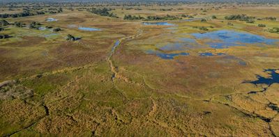 Earth’s seasonal rhythms are changing, putting species and ecosystems at risk