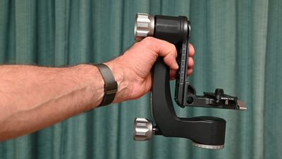 Benro GH2N gimbal head review: loadbearing strength with freedom of movement for long, heavy lenses