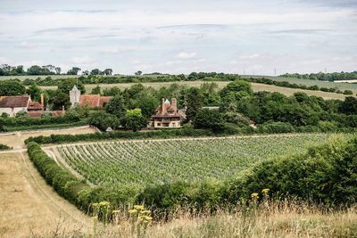 Kent landscape that inspired Dickens declared nature reserve