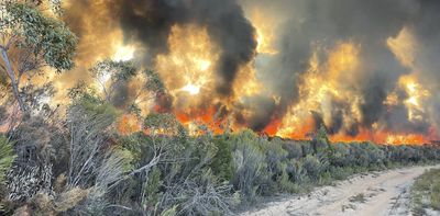 Most of Australia’s conservation efforts ignore climate risks – here are 3 fixes