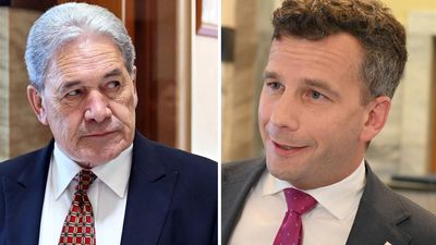 New Zealand's odd couple in deputy PM job share