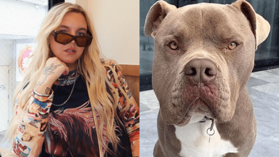 Tones And I Cops Hefty Fine After Her American Bulldog Fatally Attacked Another Dog