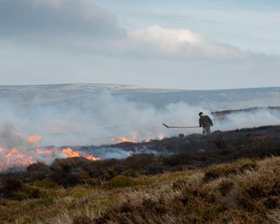 Researchers create system to log air quality impacts of moorland fires
