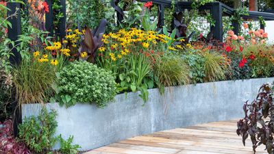 ALDI's newest $15 raised bed planter is even better than their last one – it's the most stylish way to add style, color, and crops to a small garden