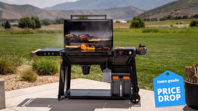 Huge sale on Traeger grills — 5 top deals I’d buy right now up to $250 off