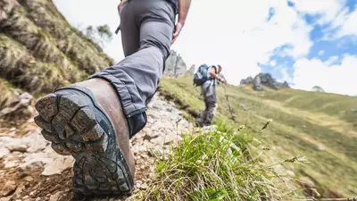 New York hikers on mushrooms report friend dead: Spoiler alert, he’s alive