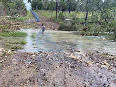 ‘A significant disaster’: extreme floods risk conservation efforts in outback Queensland