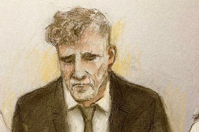 Alleged Liverpool parade crash driver appears in court