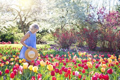 How Frugal Gardening Hacks Can Turn $5 Into a Blooming Oasis